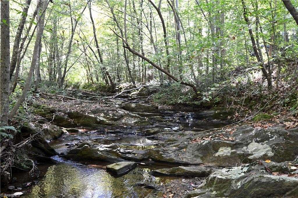 33 Acres of Recreational Land for Sale in Reidsville, North Carolina