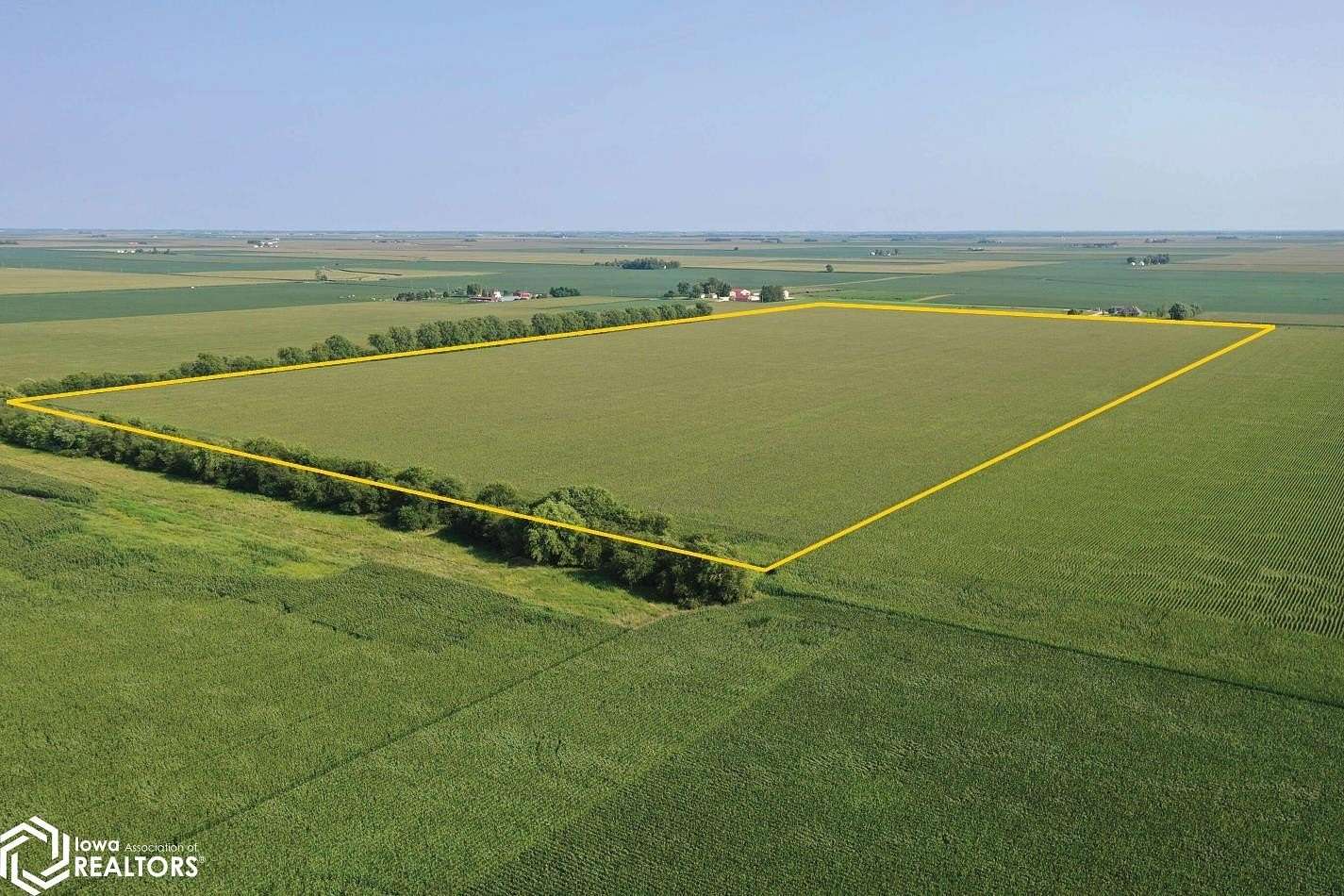 78.75 Acres of Agricultural Land for Auction in Clinton, Illinois