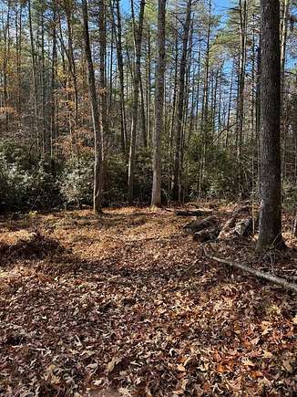 1.31 Acres of Residential Land for Sale in Murphy, North Carolina