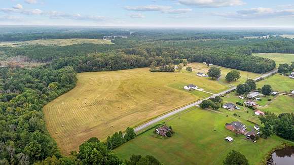 79.46 Acres of Agricultural Land for Sale in Nashville, North Carolina