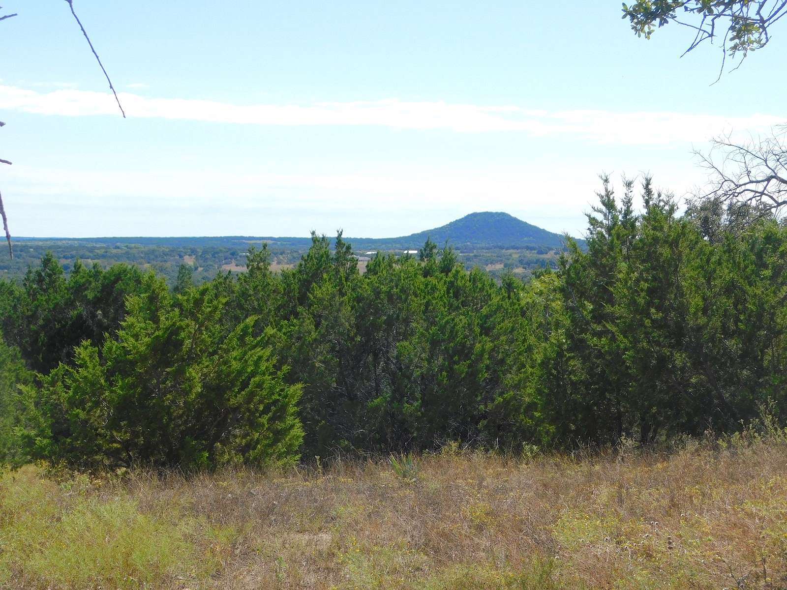 166.85 Acres of Recreational Land & Farm for Sale in Goldthwaite, Texas