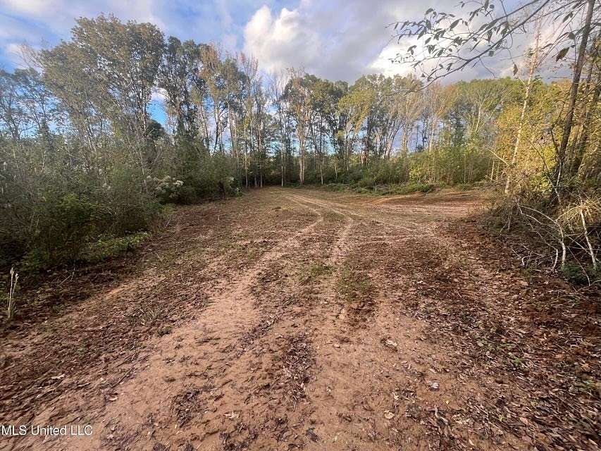 14 Acres of Land for Sale in Raymond, Mississippi