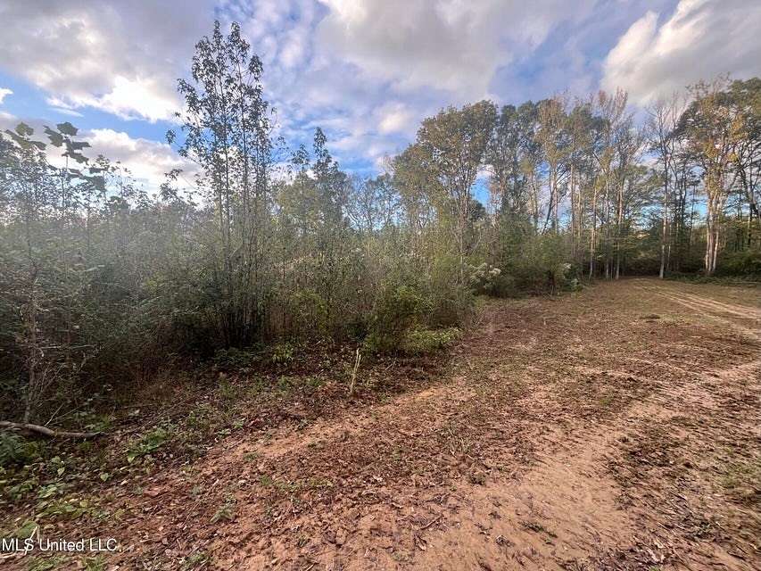 14 Acres of Land for Sale in Raymond, Mississippi