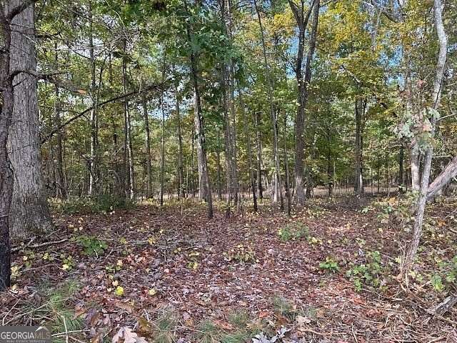 5 Acres of Agricultural Land for Sale in Monticello, Georgia