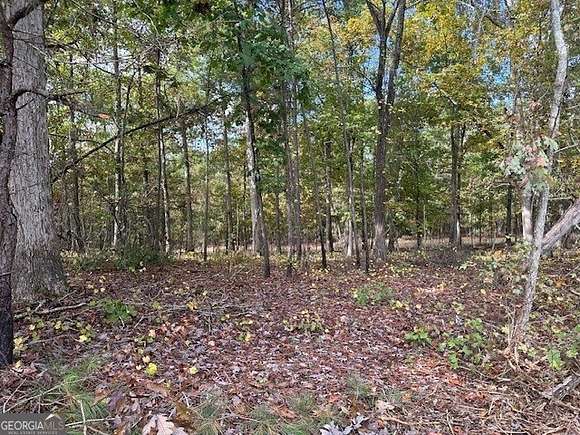 5 Acres of Agricultural Land for Sale in Monticello, Georgia