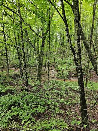 17.87 Acres of Recreational Land for Sale in Nisula, Michigan