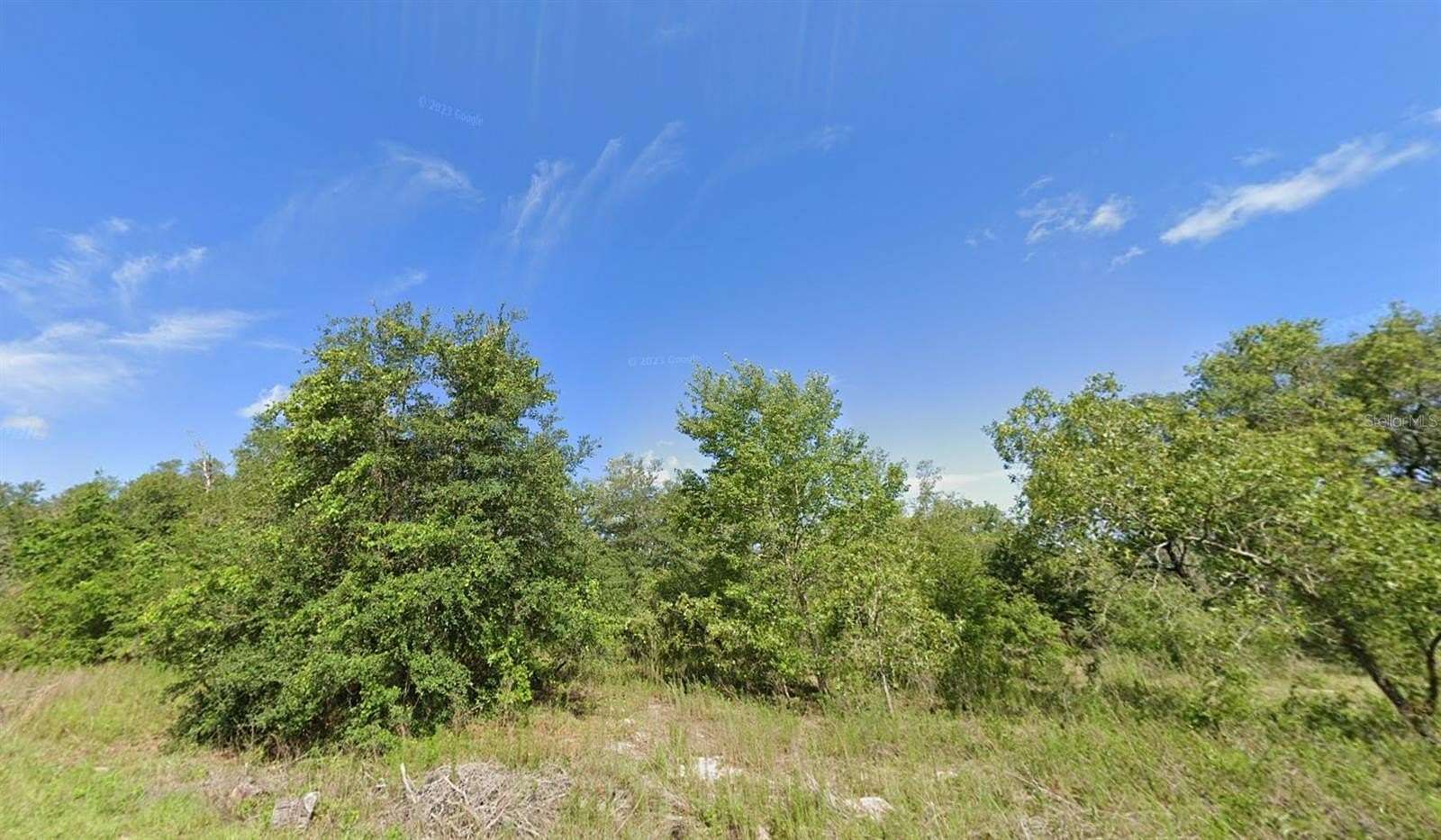 0.23 Acres of Residential Land for Sale in Ocklawaha, Florida