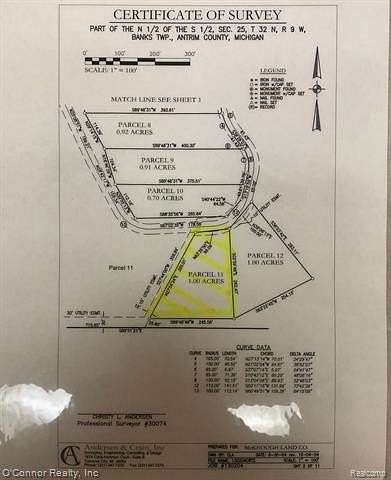 1 Acre of Residential Land for Sale in Ellsworth, Michigan