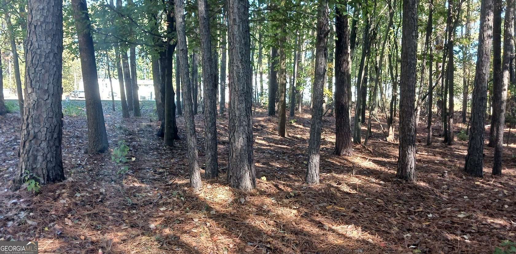 1.55 Acres of Residential Land for Sale in Dewy Rose, Georgia