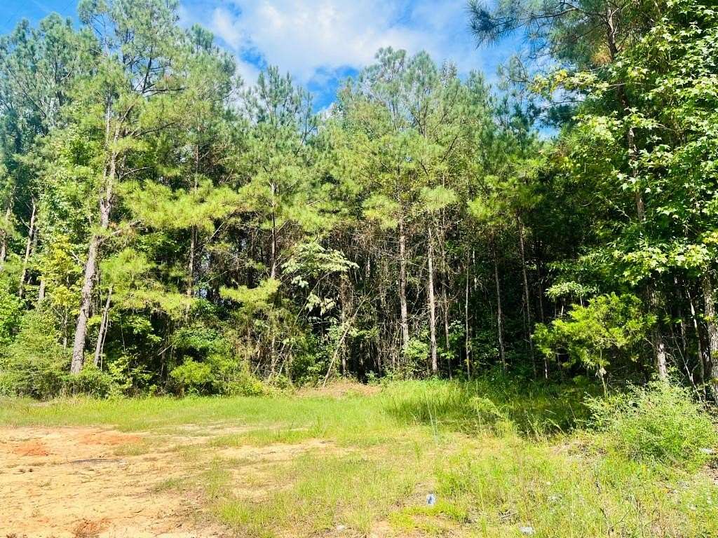 Land for Sale in Livingston, Alabama