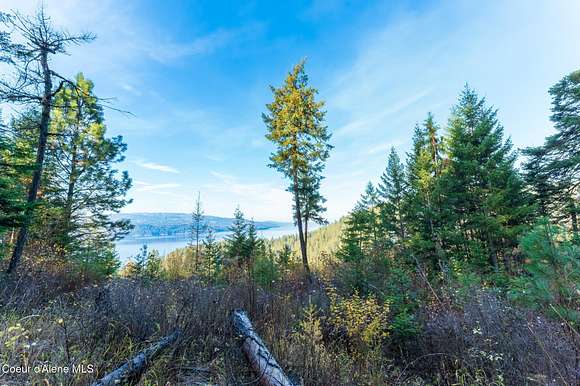 39.19 Acres of Recreational Land for Sale in Harrison, Idaho