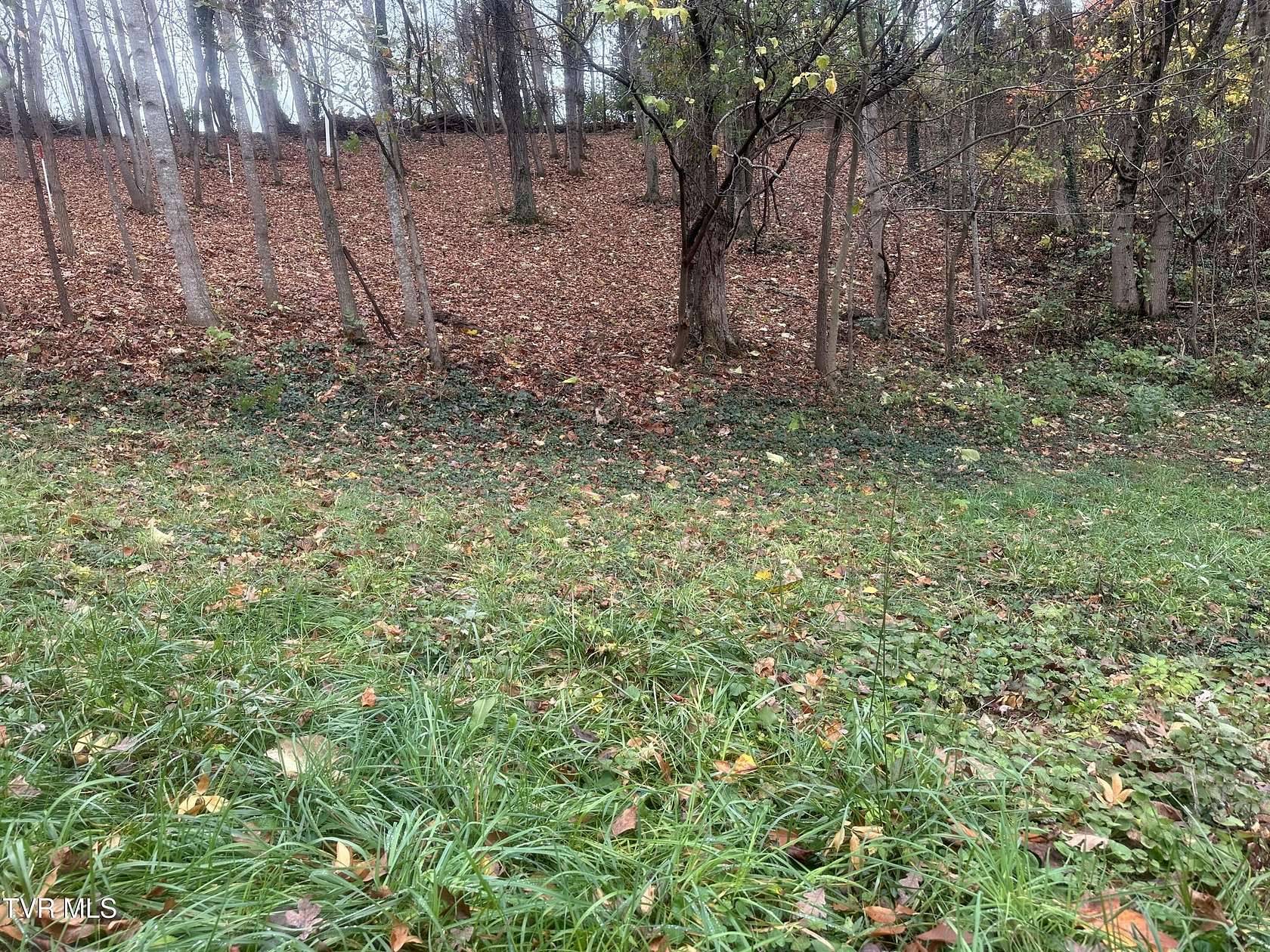 0.37 Acres of Residential Land for Sale in Greeneville, Tennessee