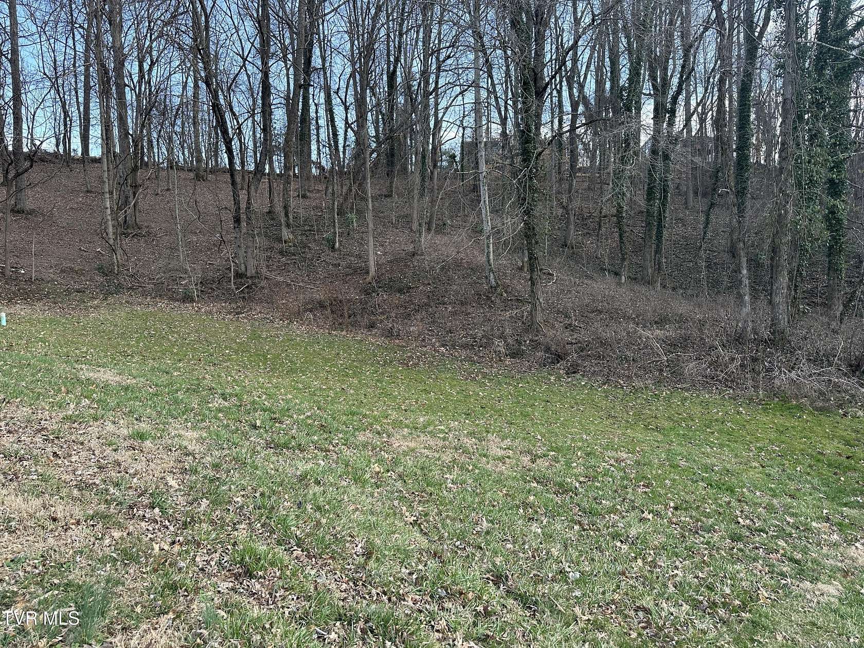 0.37 Acres of Residential Land for Sale in Greeneville, Tennessee