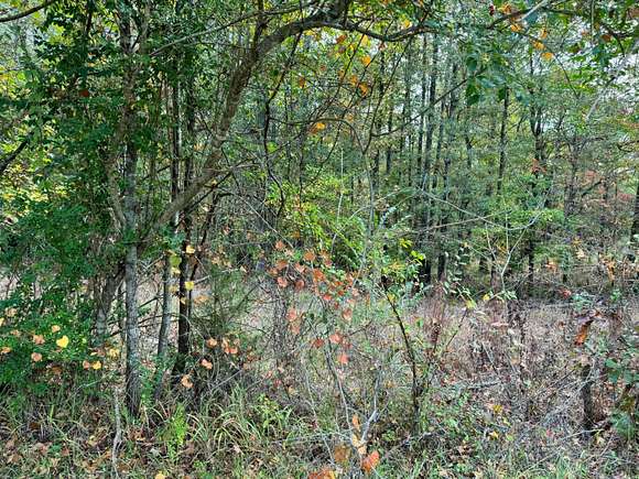 1.5 Acres of Residential Land for Sale in Jasper, Alabama