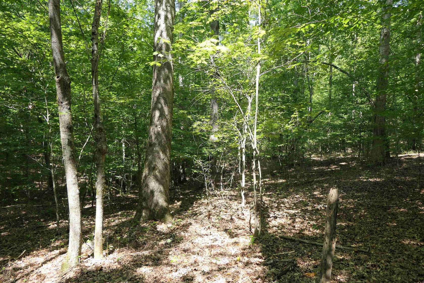 30 Acres of Recreational Land for Sale in Pacolet, South Carolina