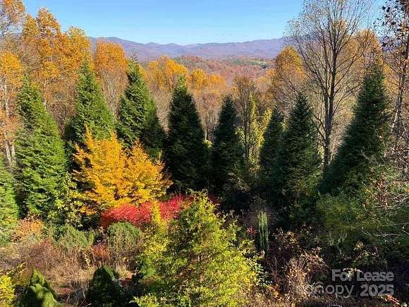 2.61 Acres of Residential Land with Home for Lease in Fairview, North Carolina