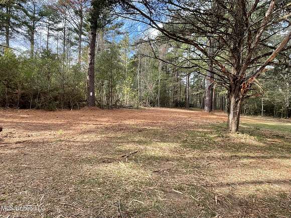 9 Acres of Residential Land for Sale in Canton, Mississippi