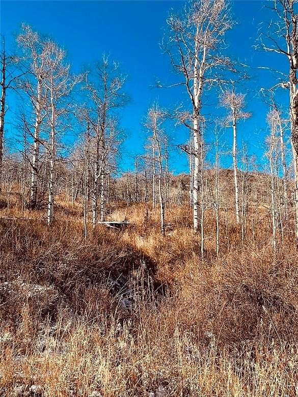 5.63 Acres of Residential Land for Sale in Clark, Colorado