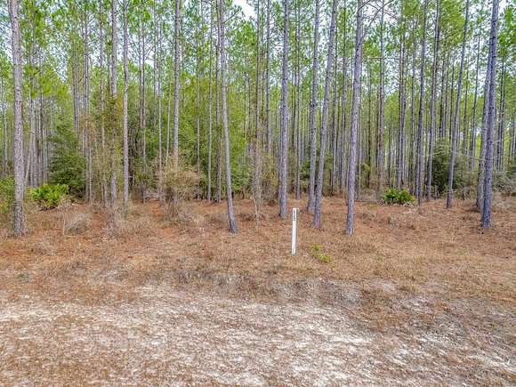 8.13 Acres of Land for Sale in Tallahassee, Florida