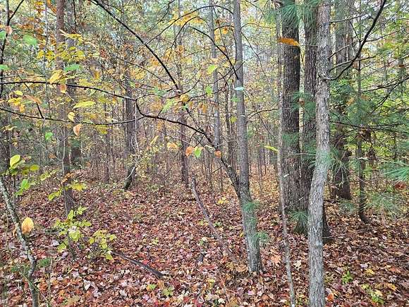 7.37 Acres of Land for Sale in Robbins, Tennessee