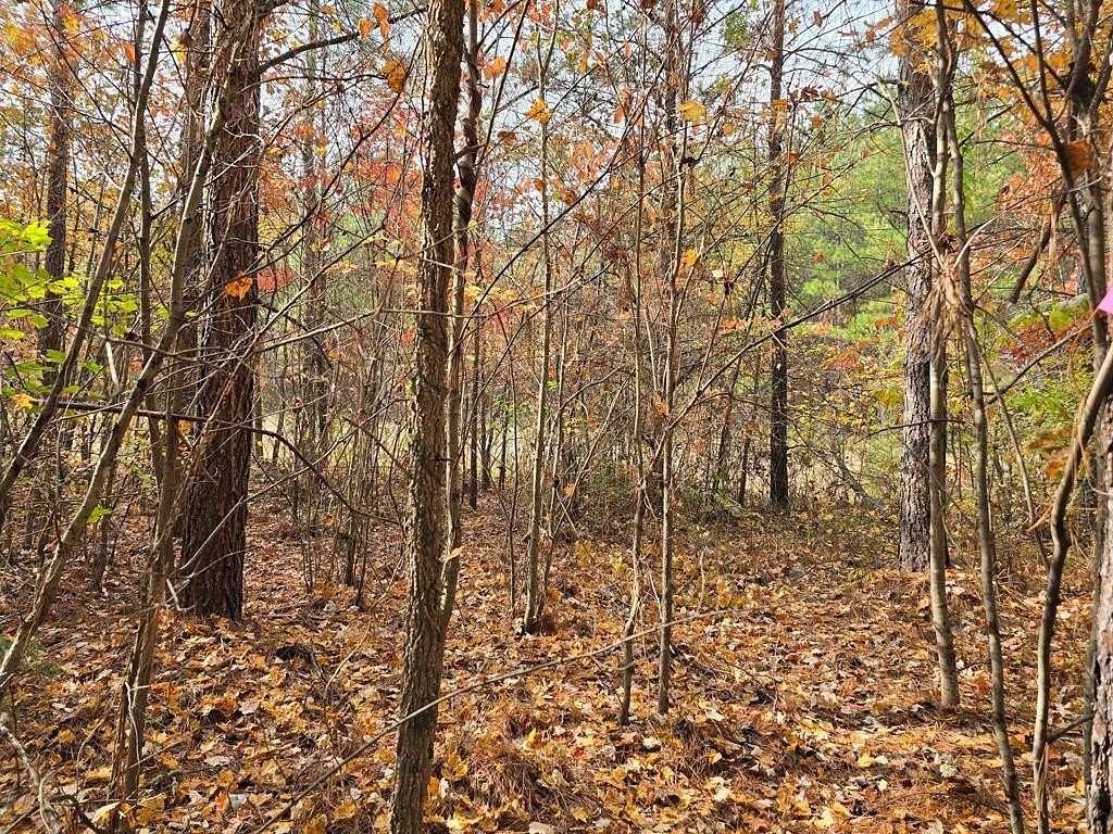 3.52 Acres of Residential Land for Sale in Robbins, Tennessee