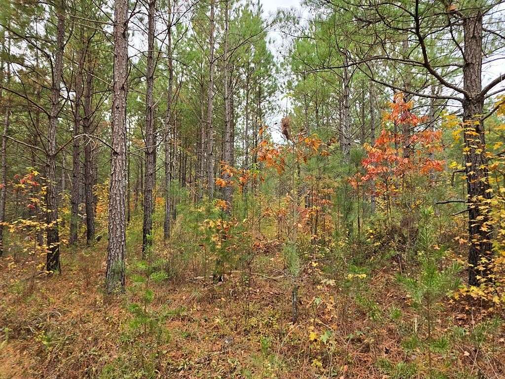 3.19 Acres of Residential Land for Sale in Robbins, Tennessee