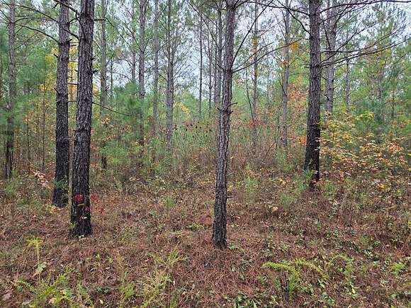 2.05 Acres of Residential Land for Sale in Robbins, Tennessee