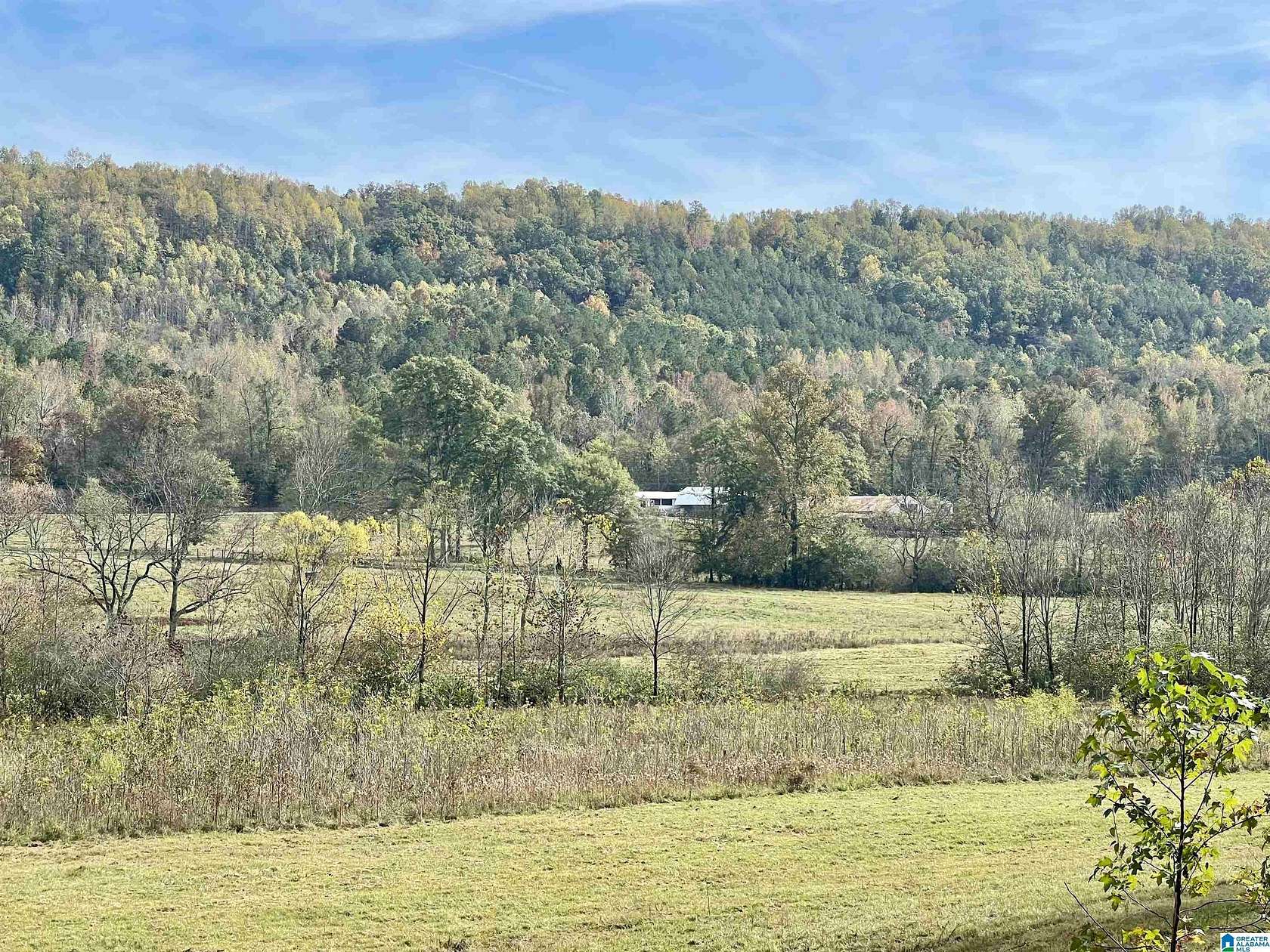 134 Acres of Land with Home for Sale in Remlap, Alabama