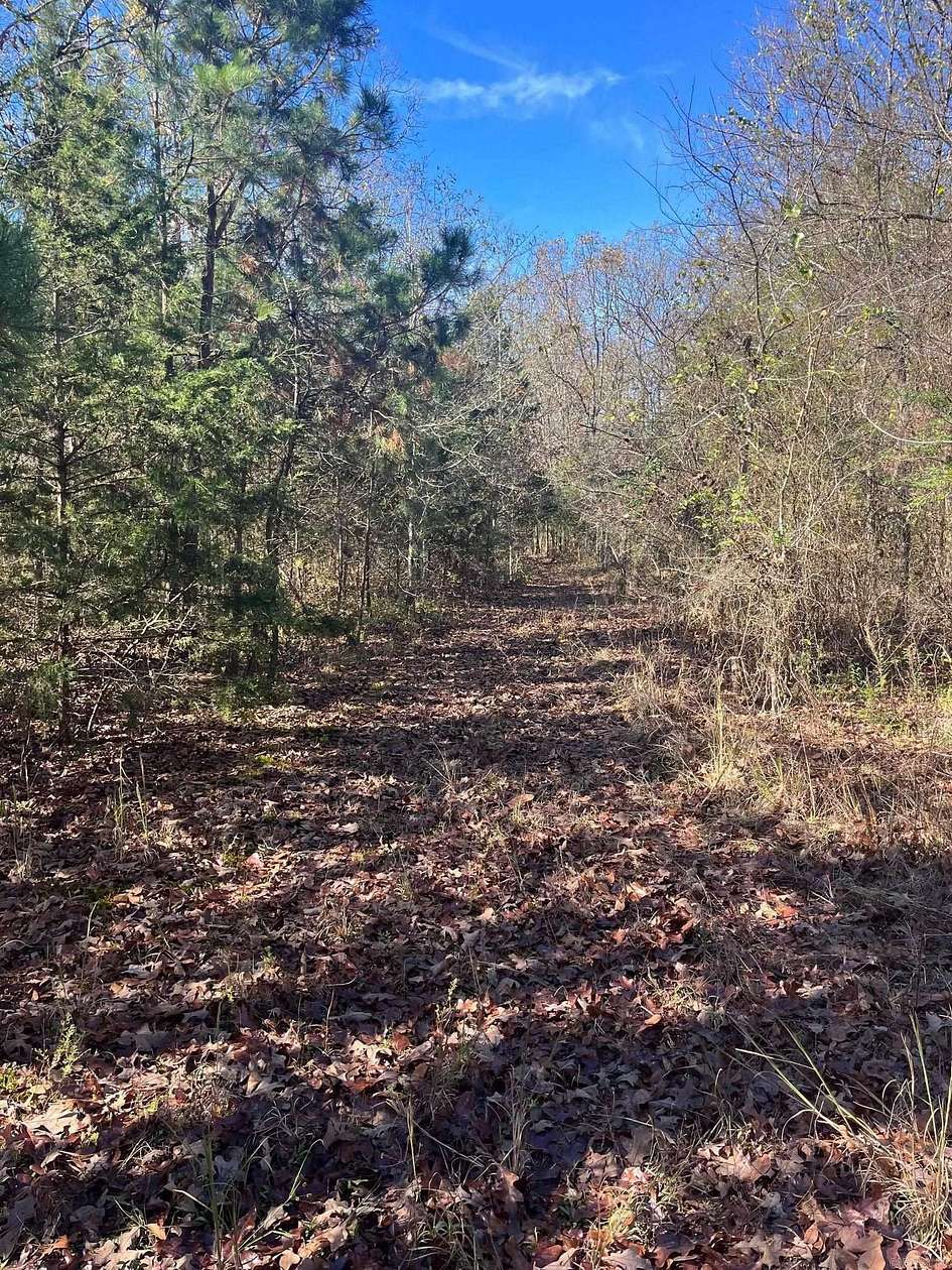 13.03 Acres of Land for Sale in Mena, Arkansas