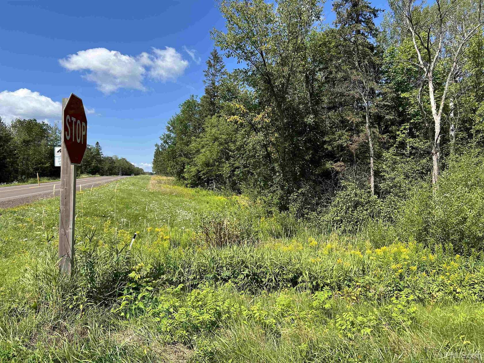 37.1 Acres of Land for Sale in Kimball Town, Wisconsin