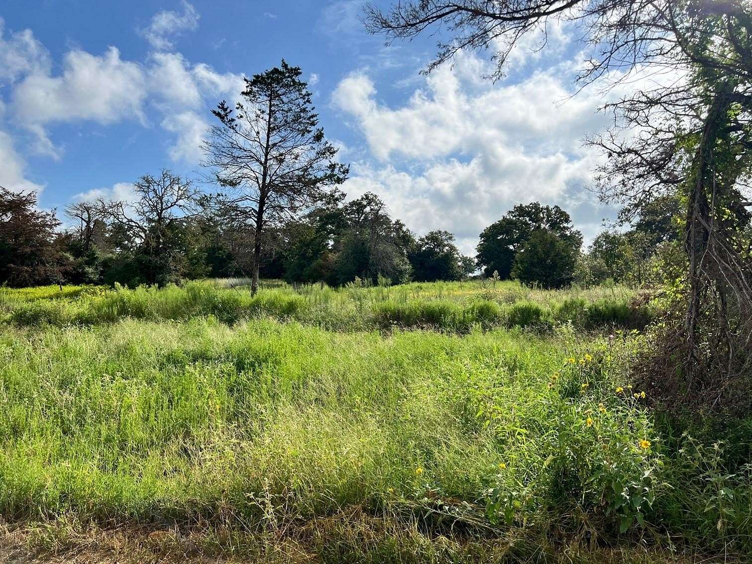 20.6 Acres of Recreational Land for Sale in Milano, Texas