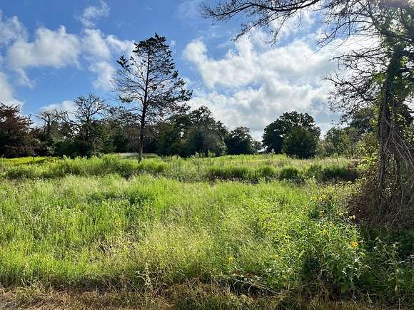 20.6 Acres of Recreational Land for Sale in Milano, Texas