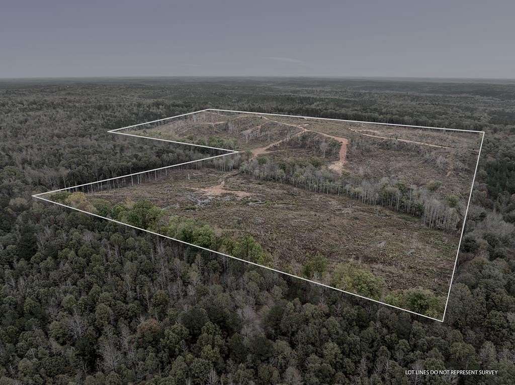 120 Acres of Recreational Land for Sale in Amory, Mississippi