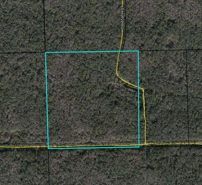 40 Acres of Recreational Land for Sale in Horseshoe Beach, Florida