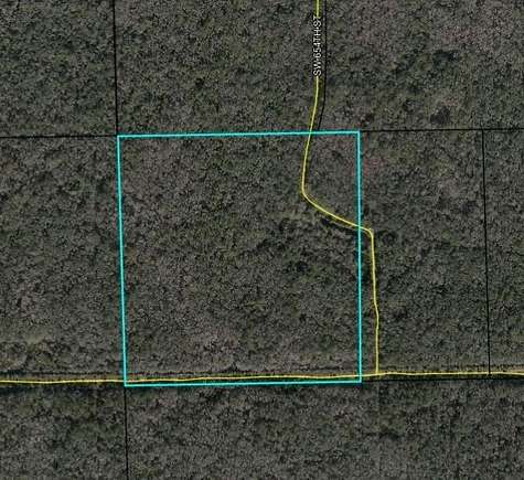 40 Acres of Recreational Land for Sale in Horseshoe Beach, Florida