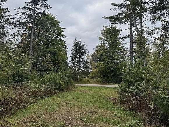 3.01 Acres of Land for Sale in Tomahawk, Wisconsin