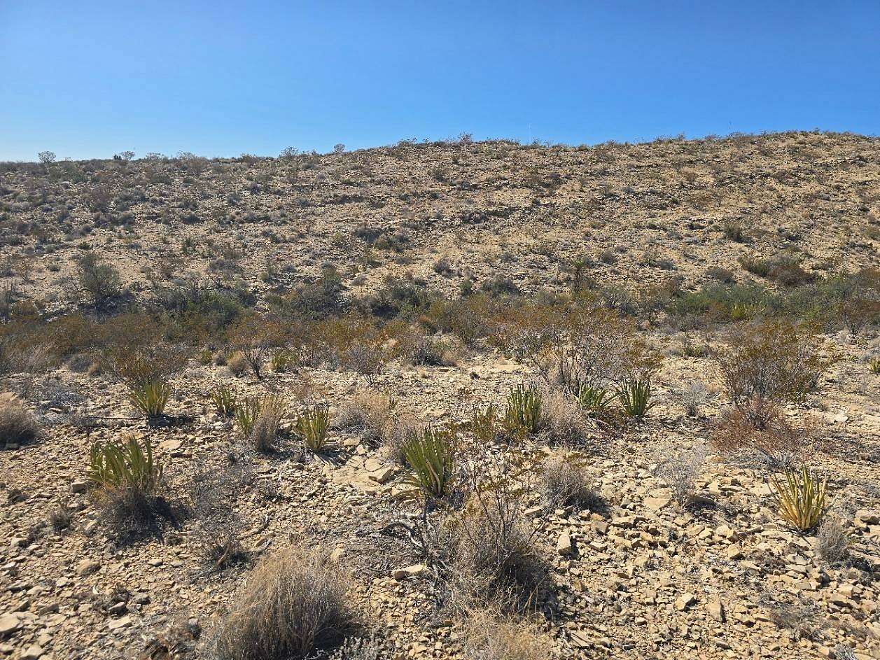 20 Acres of Land for Sale in Terlingua, Texas