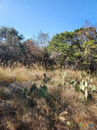 0.124 Acres of Residential Land for Sale in Burnet, Texas