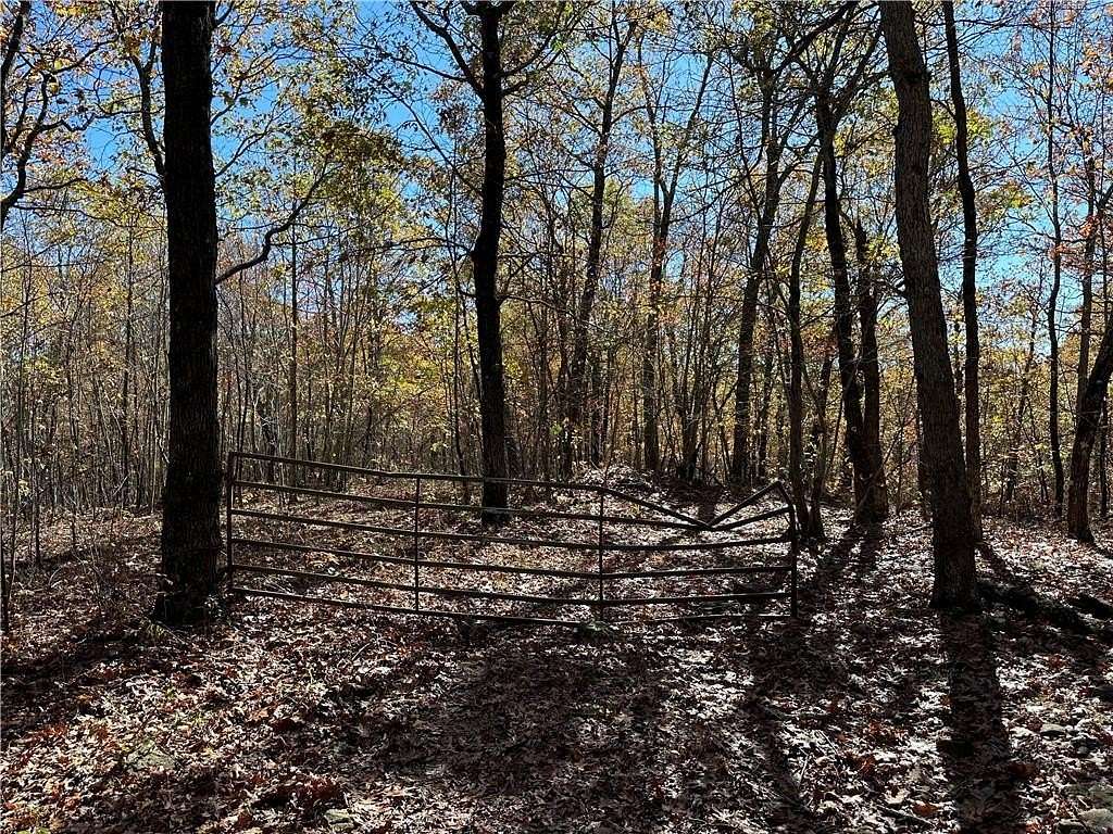 18 Acres of Recreational Land for Sale in Combs, Arkansas