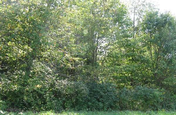 13.9 Acres of Land for Sale in Edinboro, Pennsylvania