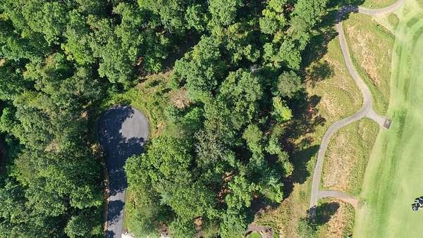 0.44 Acres of Residential Land for Sale in Mineral Bluff, Georgia