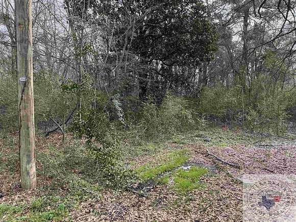 0.21 Acres of Land for Sale in Texarkana, Texas