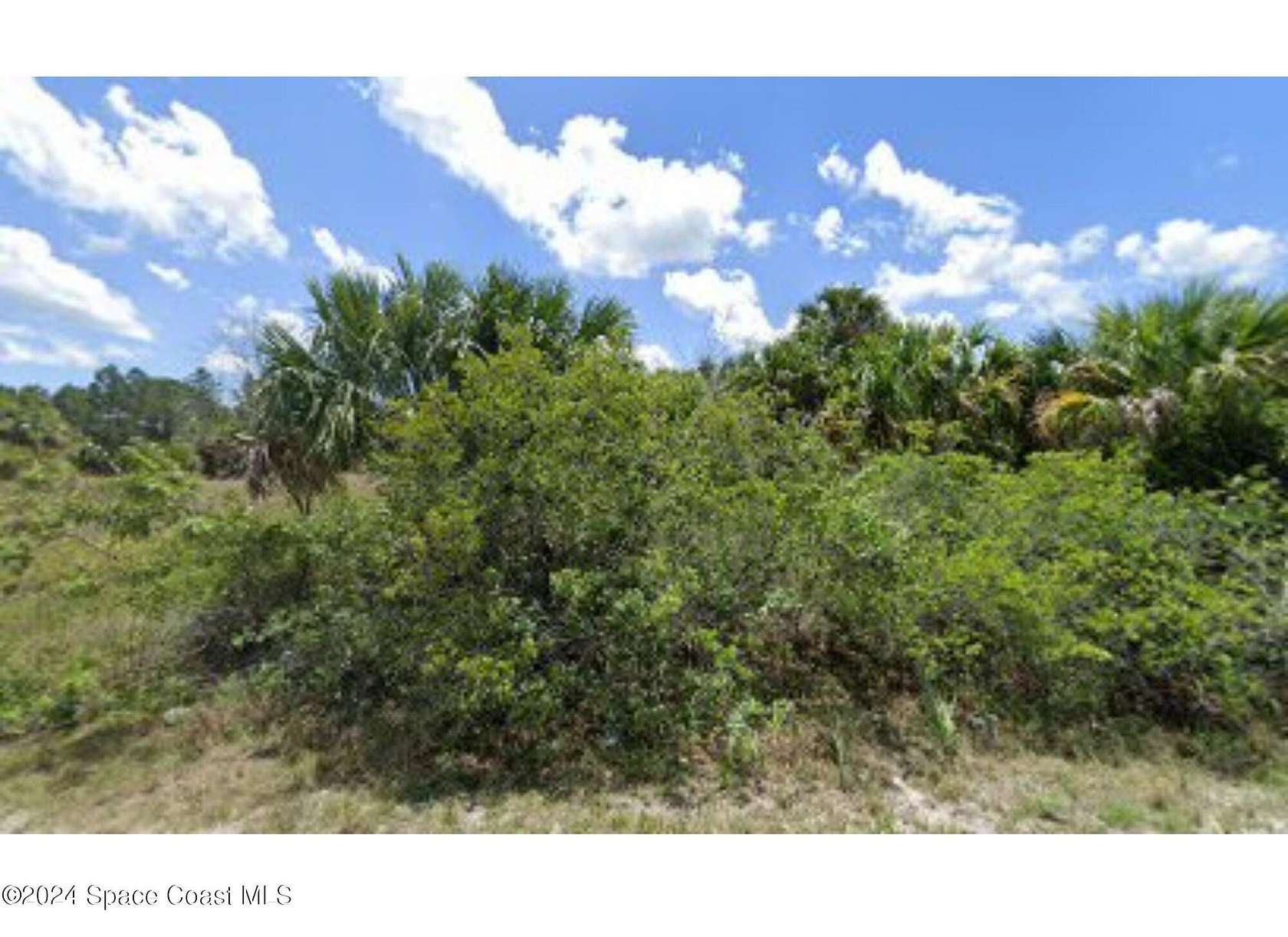 0.23 Acres of Residential Land for Sale in Palm Bay, Florida