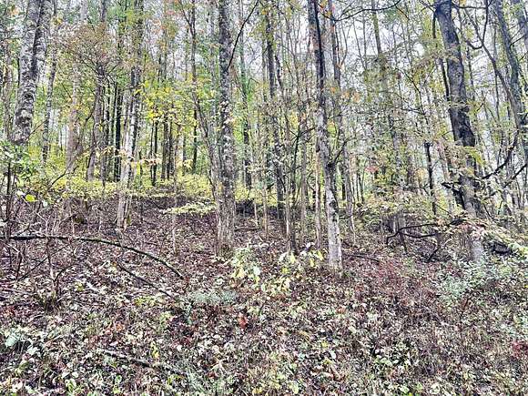 8.79 Acres of Residential Land for Auction in Buckhannon, West Virginia