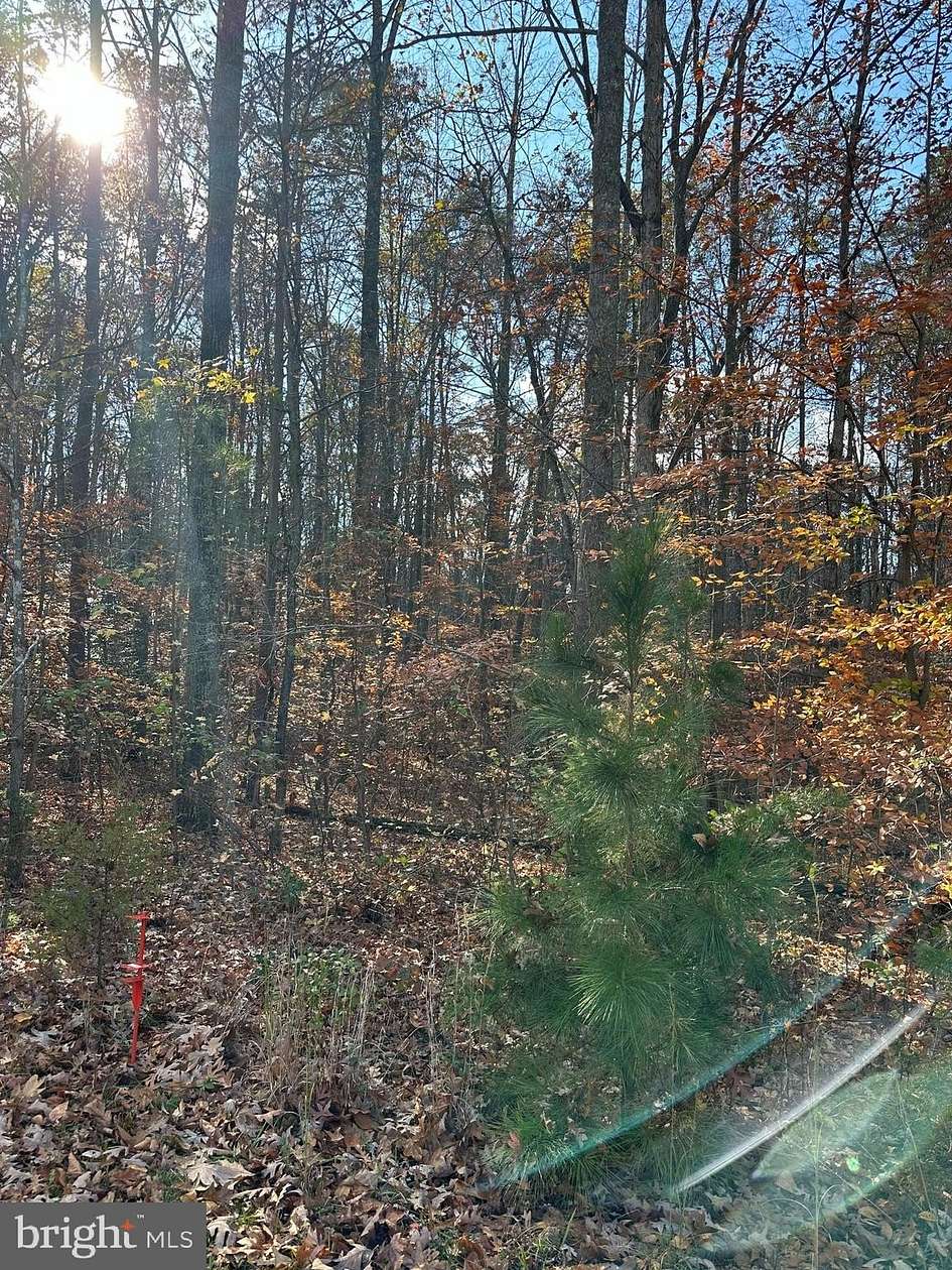 3 Acres of Residential Land for Sale in Mineral, Virginia