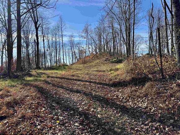 98.36 Acres of Recreational Land for Sale in Shinnston, West Virginia