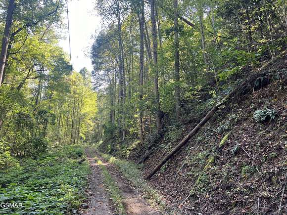 0.39 Acres of Residential Land for Sale in Cosby, Tennessee