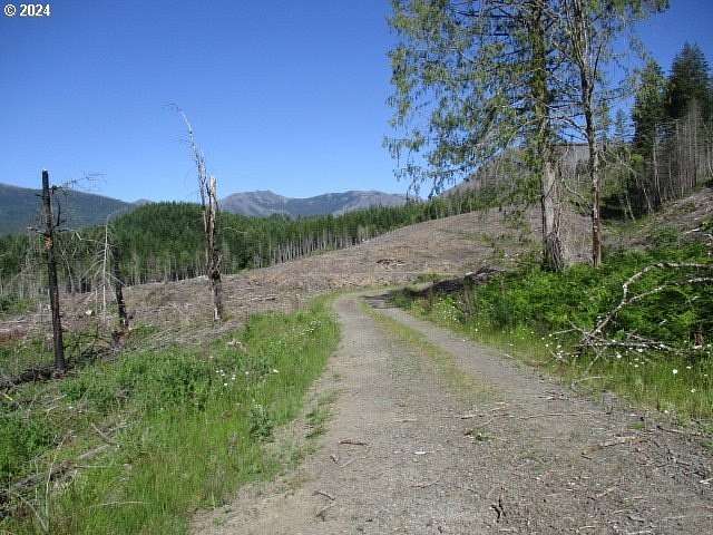 18.8 Acres of Land for Sale in Gates, Oregon