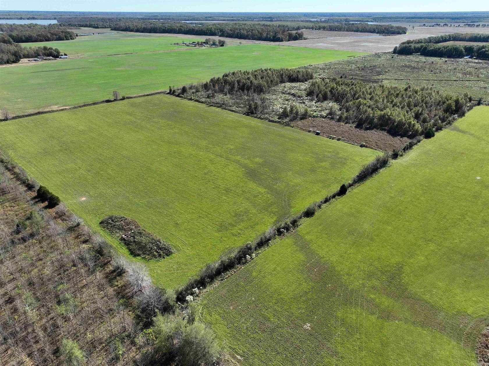 40 Acres of Recreational Land for Auction in Bald Knob, Arkansas