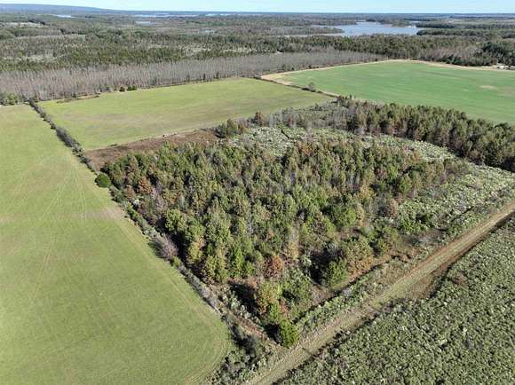 40 Acres of Recreational Land for Auction in Bald Knob, Arkansas